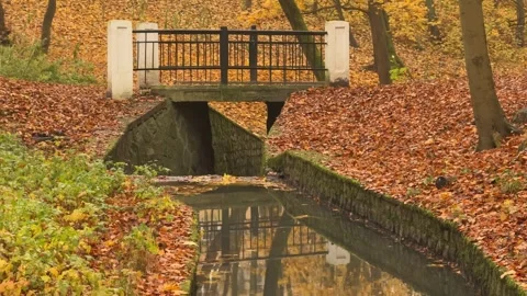Urban Park Water System, Concept of Sustainable City Planning Stock Footage 341863954