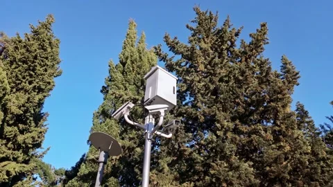 Urban Pole With Security Cameras In Park Stock-Footage 342560647
