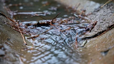 Urban Rain Drain Water Flow Close Up Stock Footage 346197556