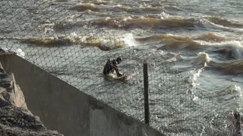 Urban River Surfing Stock Footage 10794378