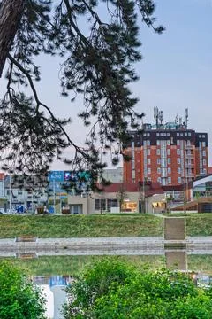 Urban Riverfront With Pine Tree Foreground and Brick Apartment Building Ref.. Stock-Fotos