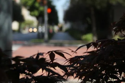 Urban setting Stock Photos