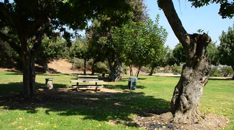 Urban Sprawl Stock Footage 29478836