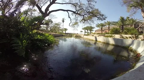 Urban Spring Stock Footage 47783714