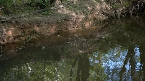 Urban Stream Erosion Stock Footage 106824747