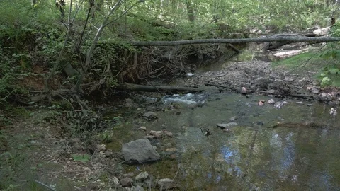 Urban Stream Erosion1 Stock Footage 106825103