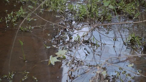 Urban Stream Pollution Stock Footage 106822827