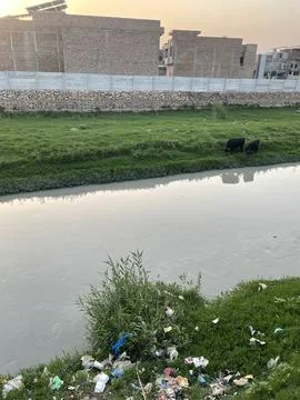 Urban Stream Pollution Stock Photos