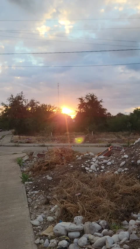 Urban sunset between trees with warm golden light Stock Footage 329076313