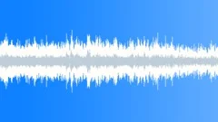 Urban traffic distant traffic noise birds siren in the endSound Effect