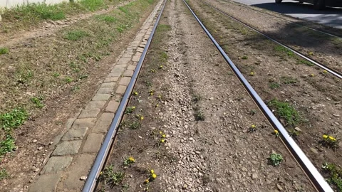 Urban Tram Rails Spring Ground Detail 스톡 동영상 334110283