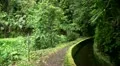 Urban waterway in rainforest 20110429 150043 HD Footage