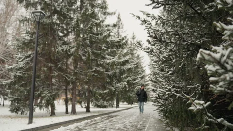 Urban winter scene with man strolling under snowdusted trees. Pedestrian in dark Stock Footage 345178221