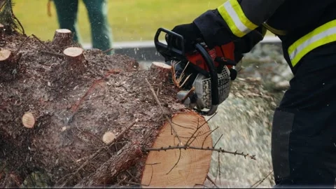 The urban worker is cutting the tree with a chainsaw in european city street Stock Footage 246334209