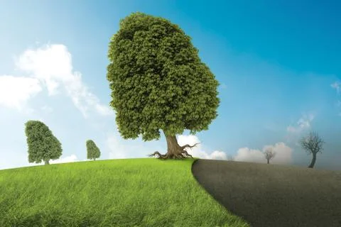 Urbanization Stock Illustration