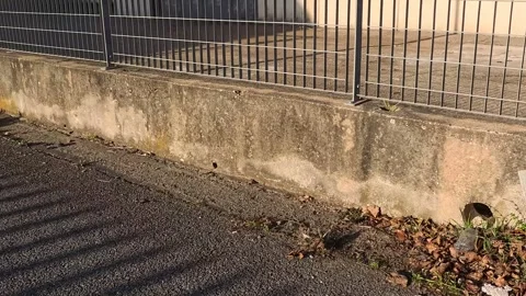 Urbex Stock Footage 300730013