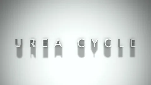 Urea cycle 3D title animation with shadows on a white background Stock Footage 297217958