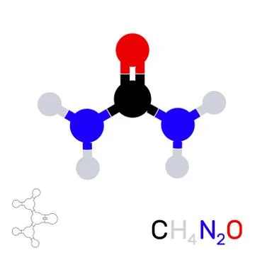 Urea model molecule.Isolated on white background. Vector illustration. 스톡 일러스트