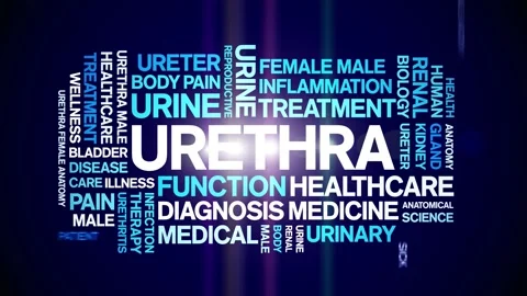 Urethra animated word cloud,animation tag text kinetic typography seamless loop Stock Footage 274427341
