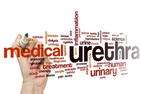 Urethra word cloud concept Stock Illustration