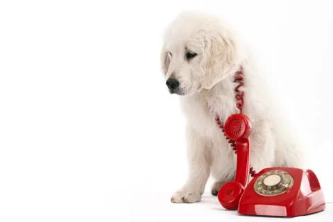 Urgent call Stock Photos
