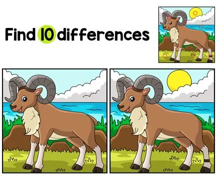 Urial Animal Find The Differences Illustrazione stock