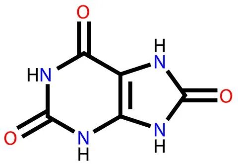 Uric acid structural formula Stock Illustration