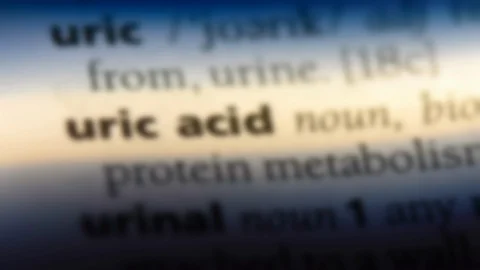 Uric acid word in a dictionary. Stock Footage 99562548
