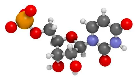Uridine monophosphate nucleotide molecule Stock Illustration