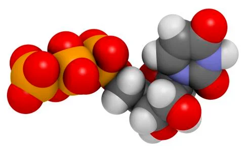 Uridine triphosphate nucleotide molecule Stock Illustration