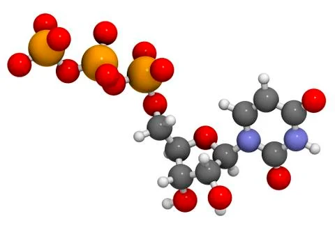Uridine triphosphate nucleotide molecule Stock Illustration