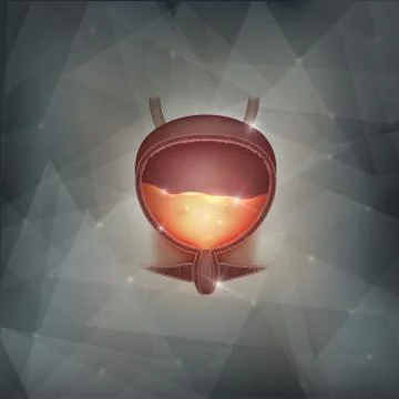 Urinary bladder abstract background Stock Illustration