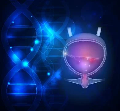 Urinary bladder DNA scientific abstract background Stock Illustration