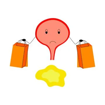 Urinary bladder human internal organ anatomy healthcare medical concept flat  Stock Illustration