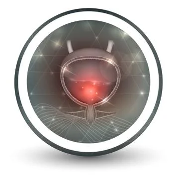 Urinary bladder icon Stock Illustration