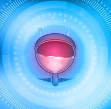 Urinary bladder light blue abstract round circle  background Stock Illustration