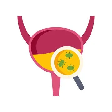 Urinary bladder showing bacterial infection under magnification Stock Illustration
