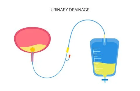 Urinary drainage bag Illustrazione stock