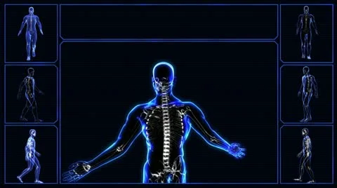 Urinary system Stock-Footage 21898383