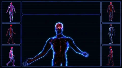 Urinary system Stock Footage 21898417