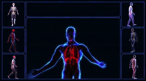 Urinary system Stock-Footage 21898625