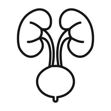 Urinary system icon Black line art vector logo Stock Illustration