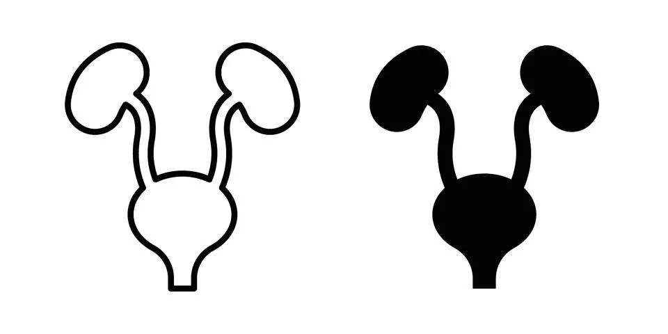 Urinary System icon drawing lines. Silhouette style vector bundle Stock Illustration