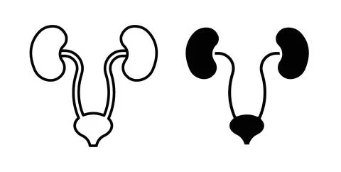 Urinary System icon Illustration designs pack for Web Stock Illustration