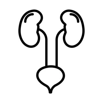 Urinary system icon linear logo mark in black and white Stock Illustration