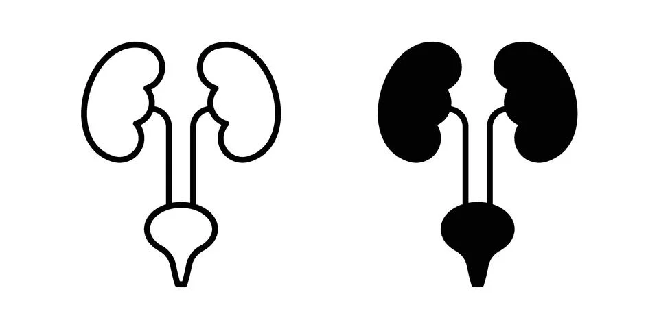 Urinary System icon pack with silhouette and stroke web icons Stock Illustration