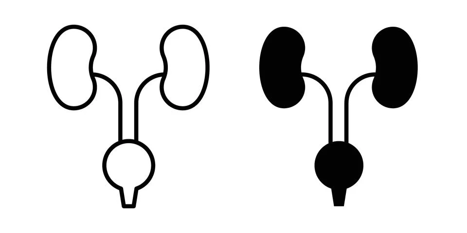Urinary System icon vector, symbol, logo illustrations Stock Illustration