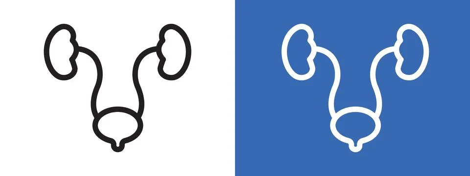 Urinary system logo sign set vector outline Stock Illustration