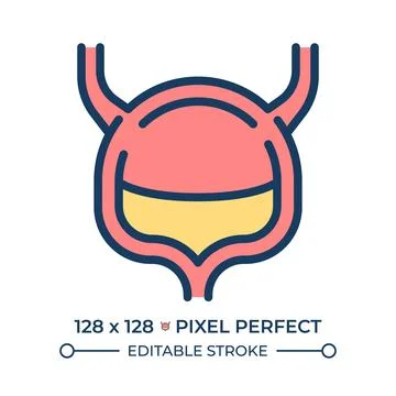 Urinary system organ pixel perfect line color icon Stock Illustration
