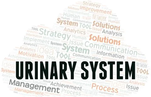 Urinary System typography vector word cloud. Stock Illustration